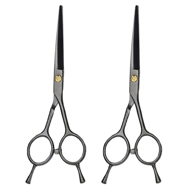 Tachiuwa 2 Pcs Coupe Professionnelle de Barbe