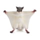 thumbnail image 2 of Figuritas de Hámster Volador Ganfancp Juguetes Decoración Hogar Preescolar Educativo Modelo animal, 2 of 7