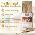 thumbnail image 2 of Grand Teton - Ancient Grains Emmer Wheat Berries, 100% Organic Berries, Premium Food-Grade Emmer Wheat Berries Organic, Farro for Milling, Sprouting, Baking, Salads, & Soups, 5 lbs, 2 of 5