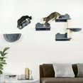 thumbnail image 2 of PawHut Cat Wall Shelf with Hammock, Scratching Post, Steps, Platforms, 2 of 9