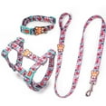 thumbnail image 2 of Dog Harness Vest Training For Dogs Collar For Cats Pet Leash In Harness And Collar Walking Training Pets Dogs Accessories (Red Dog Collar, 2 of 9