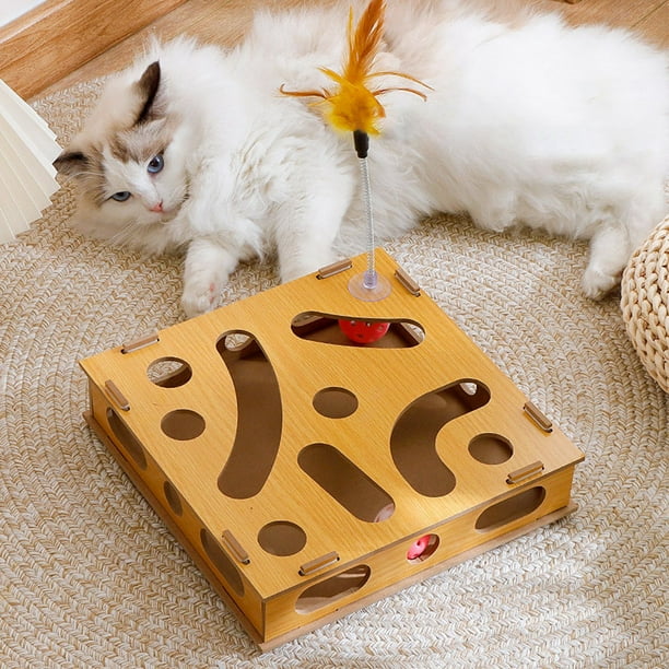 Cat Toy Puzzle Box, Assembly Design Track Model Fun Interactive Claw