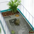 thumbnail image 3 of Reptile Terrarium Habitat Breeding Box Acrylic Turtle Reptile Cage Arboreal Tarantula Enclosure Lizard Box Turtle Aquarium Pump, 3 of 5