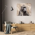 thumbnail image 3 of Dana Underdahl 24x20 Gallery Wrapped Canvas Wall Art Titled - Baboon Portrait III, 3 of 4