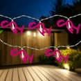 thumbnail image 1 of Northlight LED Flamingo Patio Light Set - Pink - 4' Clear Wire - 10ct, 1 of 6