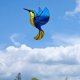 thumbnail image 3 of Colibr铆 Colgante Acr铆lico Colgante Colibr铆 Ventana Adorno Colgante Colibr铆 Sun Catcher Para El Hogar Manchado Jard铆n P谩jaro Decoraci贸n Colgante,Azul, 3 of 7
