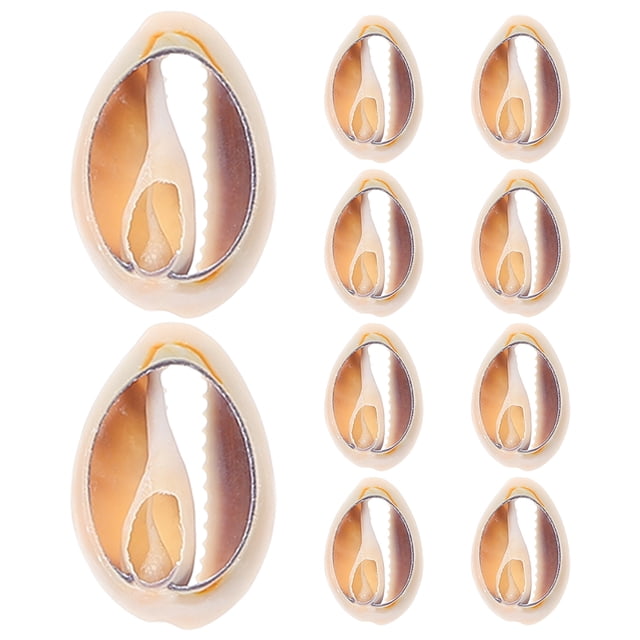10 colgantes de concha, dijes colgantes, bisutería, pendientes, accesorios, mini dijes, colgantes, dijes artesanales, conchas marinas