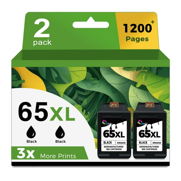 Ubinki Compatible 65XL 65 XL Ink Cartridge Replacement for HP Envy 5000 5055 3755 3700 3772 3722 2600 2622 3752 2652 2655 2640 5052 5010, Black, 2-Pack