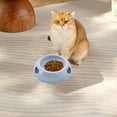 thumbnail image 5 of FAMTKT Dog Bowls Love Puppy Bowl Cats Bowl Food Bowl Avoid-Knockover Pet Bowl Dog Cats Drinking Water Bowl Dog Feeding & Watering Supplies, 5 of 6