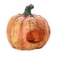 thumbnail image 3 of Calabaza Pecera Decoración Peces Ocultar Cueva Simulación Calabaza Refugio Realista Multifunción Portátil Paisajismo para Acuario Hogar Escritorio Pec Yuyangstore Calabaza simulada, 3 of 8