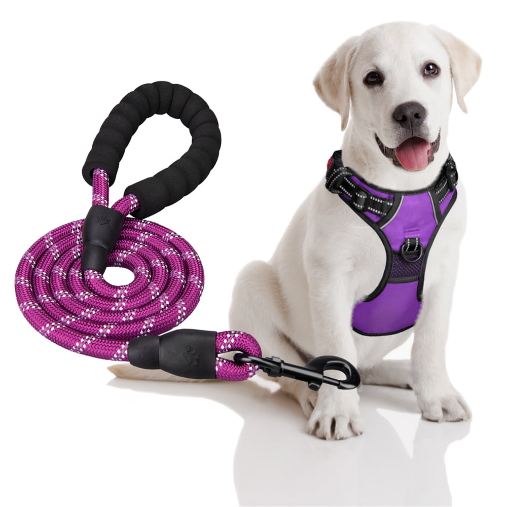 dog harness leash combo