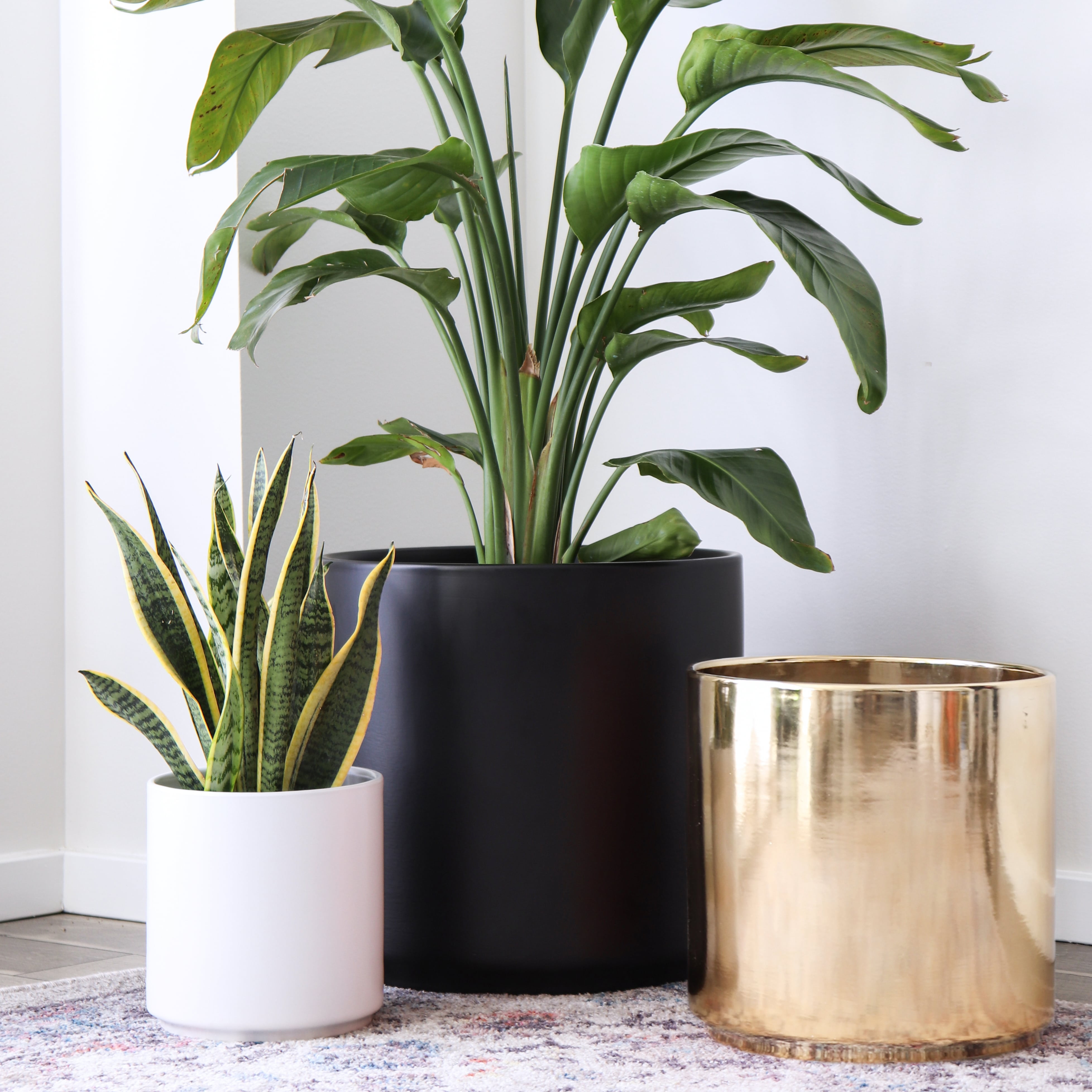 Peach & Pebble 10 inch Modern Ceramic Planter, Gold eBay