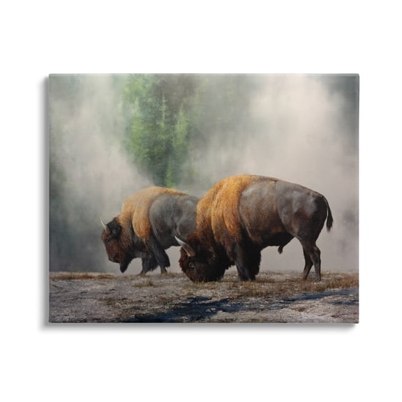 Stupell Industries Bison Duo Grazing Foggy Nature Animals & Insects Painting Gallery Wrapped Canvas Print Wall Art