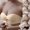 White, variant on Strapless Bra,Strapless Invisible Bandeau Bra Seamless Push Up Slip Shaping Wear,Bras for Women White 42BC
