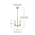 thumbnail image 2 of Capital Lighting 351741 Alyssa 4 Light 16" Wide Pendant - Brass, 2 of 6