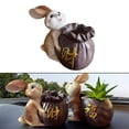 thumbnail image 3 of DOLITY Pot Cactus Plant Pot Creative Small Planter Cute Animal Pot for holding pot, 3 of 8