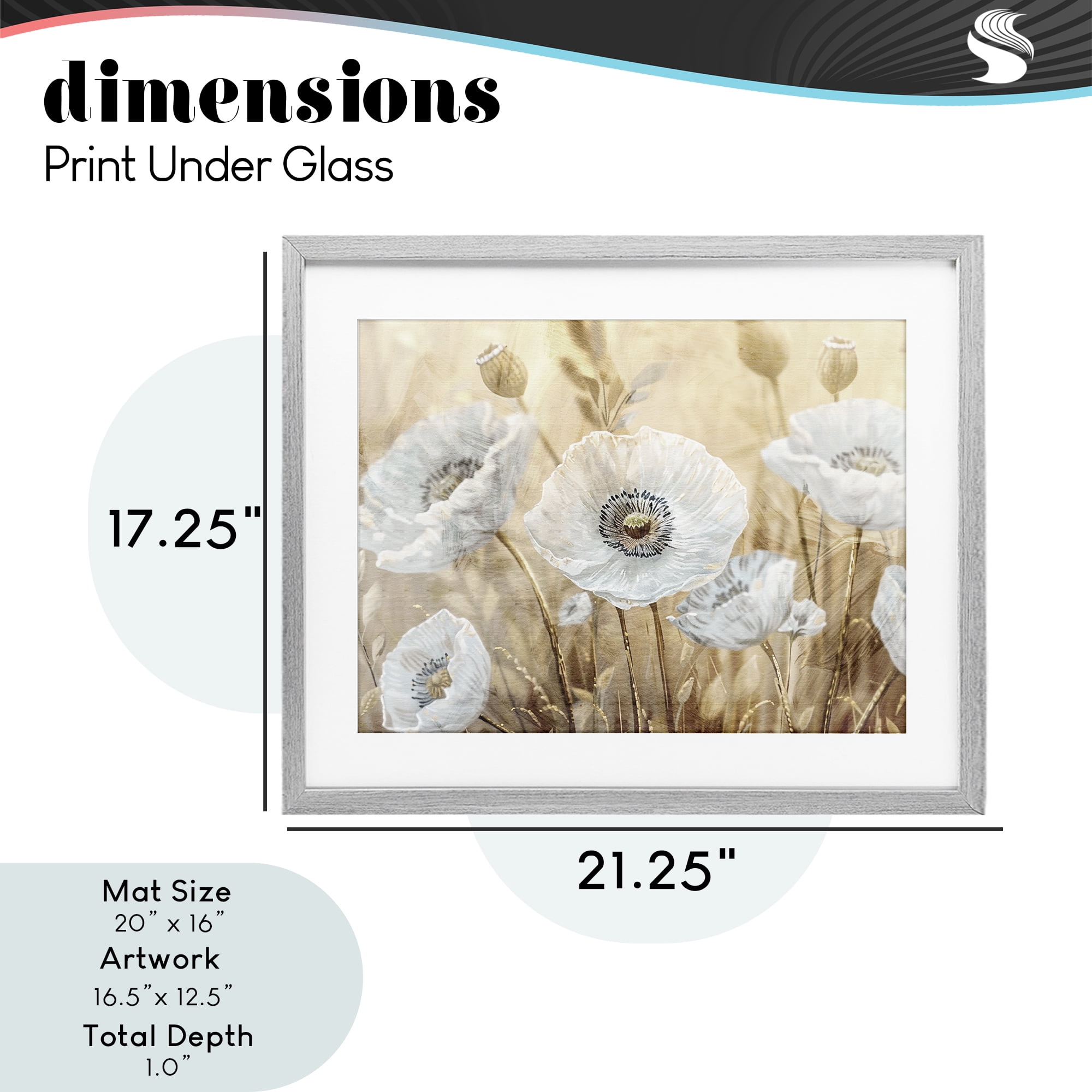 Stupell Industries White Poppies Beige Field Gray Framed Print Under Glass, design by Kim Allen