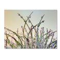 thumbnail image 2 of Trademark Fine Art 'Dewy Grass' Canvas Art by Cora Niele, 2 of 3