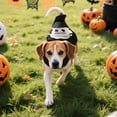 thumbnail image 4 of Dog Pumpkin/Ghost Costume Halloween Pet Clothes Pumpkin/Ghost Outfit for Small Dogs Holiday Pet Supplies(XL,Black), 4 of 7