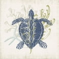 thumbnail image 2 of Barnes, Victoria 20x20 White Modern Wood Framed Museum Art Print Titled - Antique Coastal Ephemera III, 2 of 4