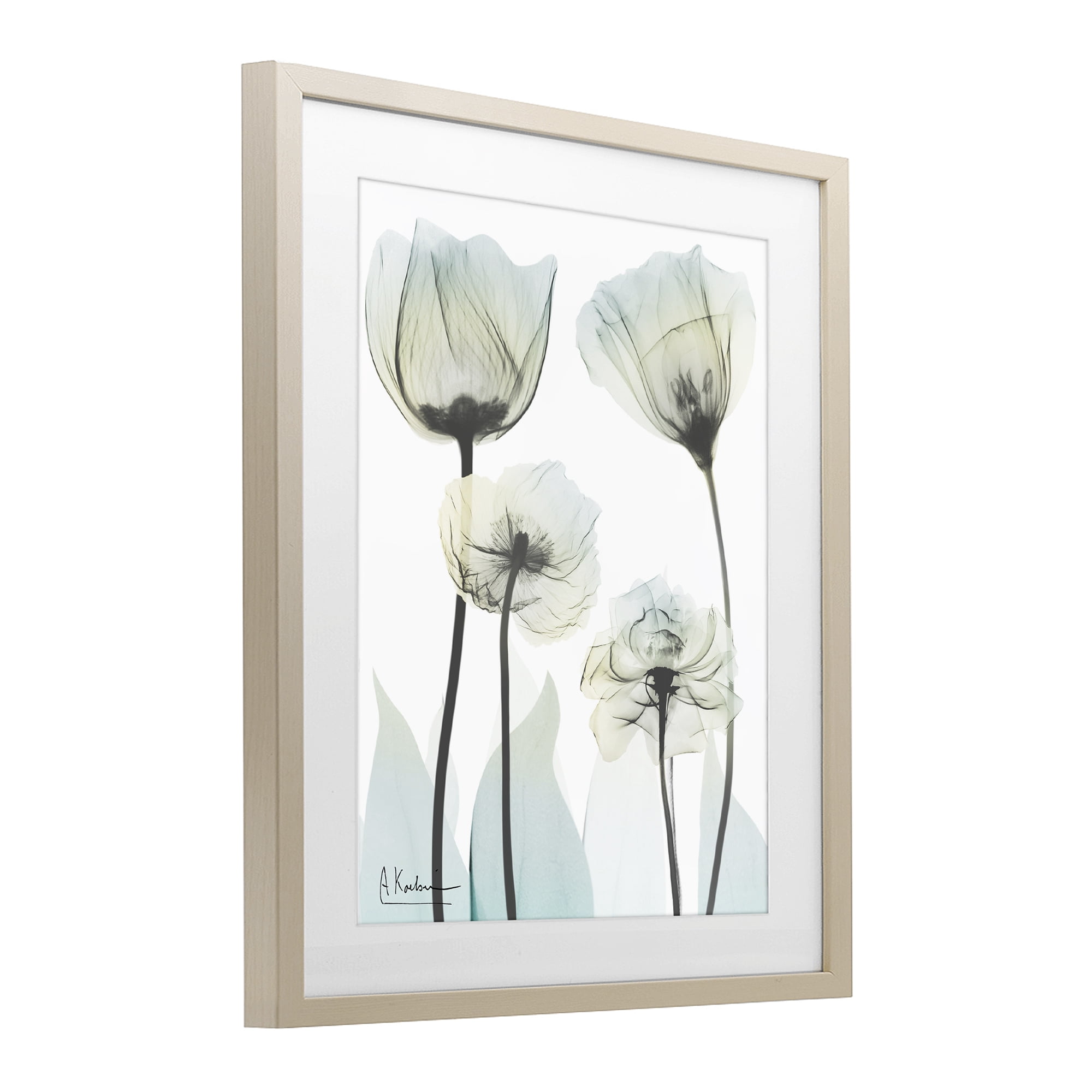 Stupell Industries Floral Luxury Of Creation Birch Framed Print Under Glass, design by Albert Koetsier