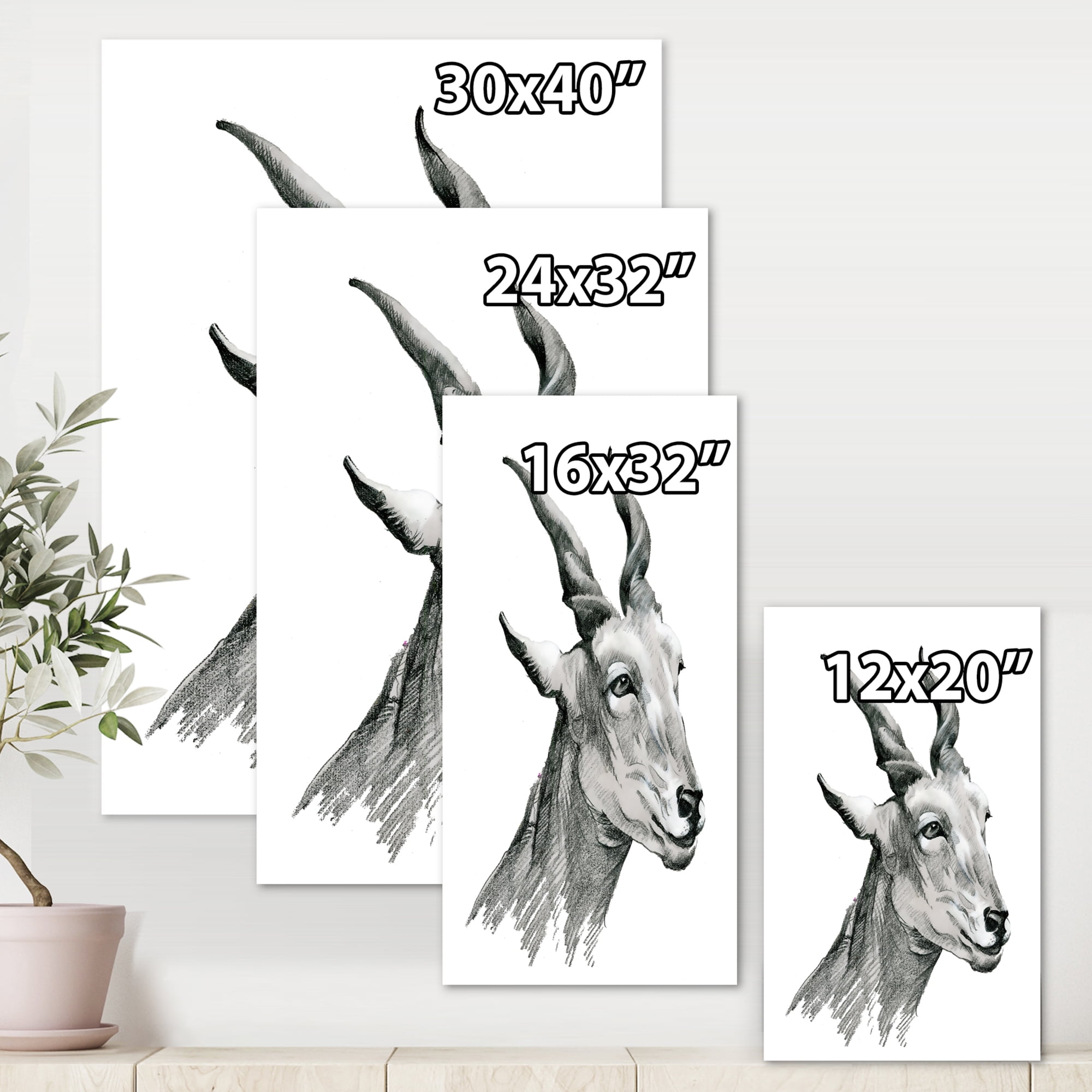 Designart ' Black and White Portrait Of Goat I ' Farmhouse Canvas Wall Art Print