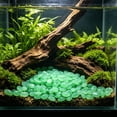 thumbnail image 6 of Glowing Ice Cubes Stones for Aquarium Decor, Resin Night Light Pebbles for Fish Landscaping, Underwater Glow in The Dark Display, Home Aquarium Decorative Enhancement, 0.47" x 0.79", KTFgvq, 6 of 6