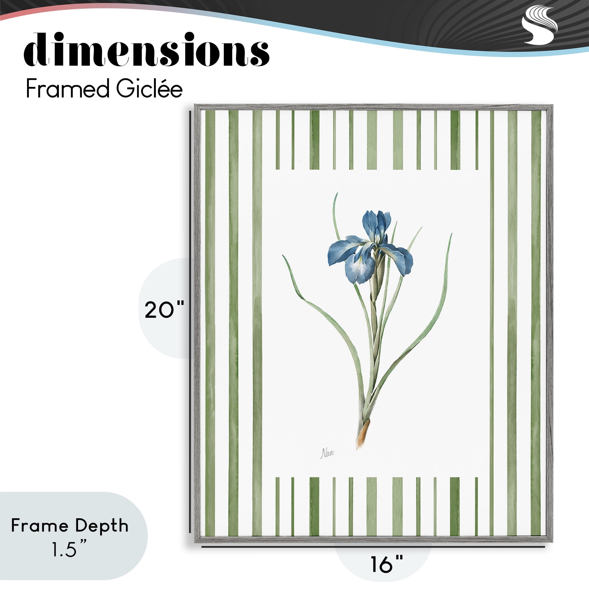 Stupell Industries Spring Iris And Stripes Gray Framed Giclee Art, design by Nan