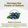 thumbnail image 4 of Bilberry Fruit Powder 4:1 Extract 4x Stronger Antioxident Anthocyanin 4oz, 4 of 8