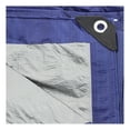 thumbnail image 3 of Lona Santul 3 x 4 metros Azul, 3 of 3