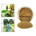 thumbnail image 1 of Adornos de Escombros de Césped Artificial Multiusos Coleccionables Materiales de Bricolaje 185ml Mini para Mesa de Arena Micro Paisaje Adolescentes Ni Amarillo Yotijar Accesorios de Micro Paisaje, 1 of 9