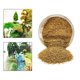 thumbnail image 2 of Adornos de césped artificial con restos: materiales de bricolaje para micropaisajes de jardines de hadas Amarillo, 2 of 9
