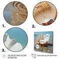 thumbnail image 3 of Designart "White Clam Ocean " Animals Canvas Wall Art, 3 of 5