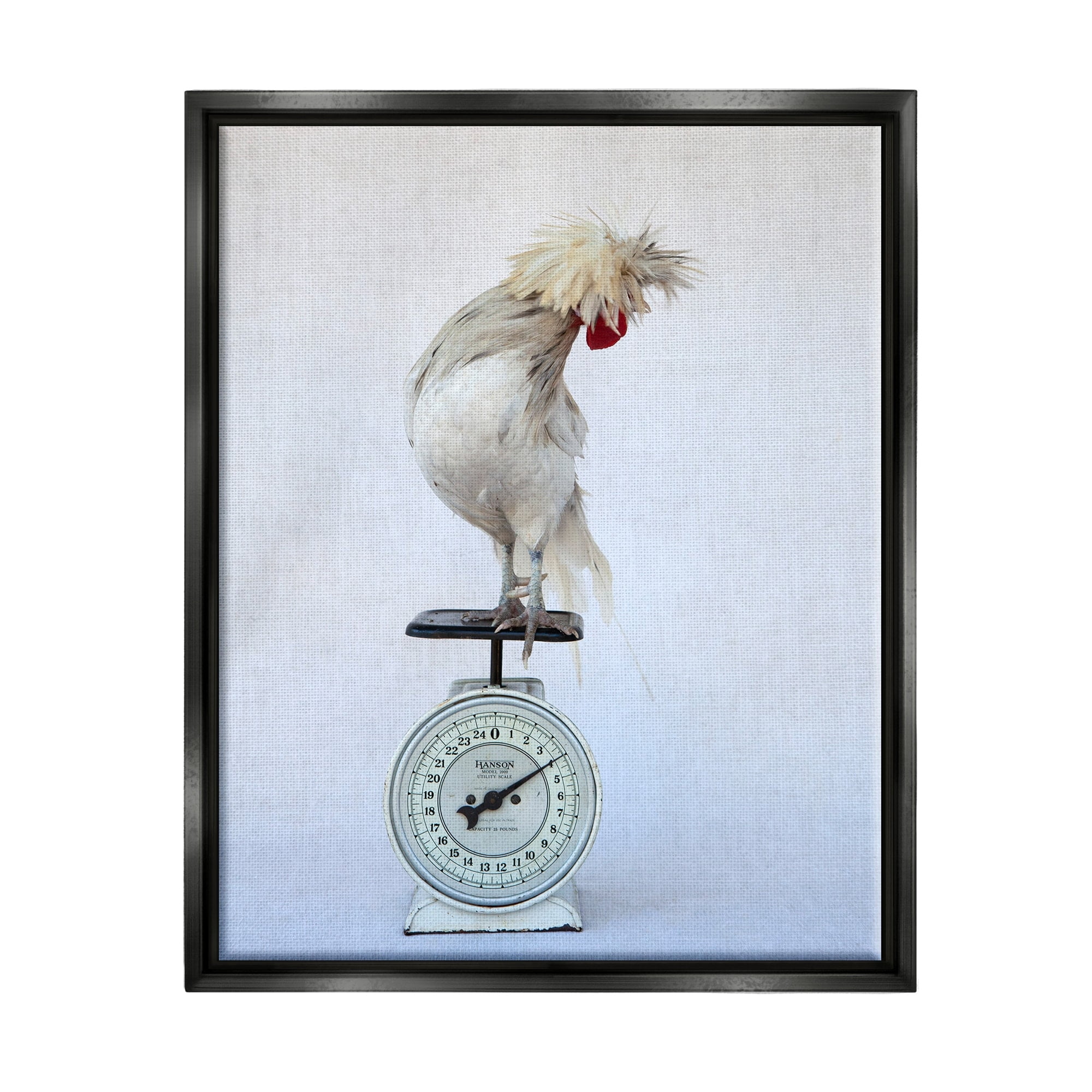 Stupell Industries White Bird Standing Vintage Kitchen Scale Photography Photograph Jet Black Floating Framed Canvas Print Wall Art, Design by Tania Soderman
