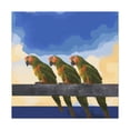 thumbnail image 1 of Parrots in Revelations - Canvas, 1 of 10