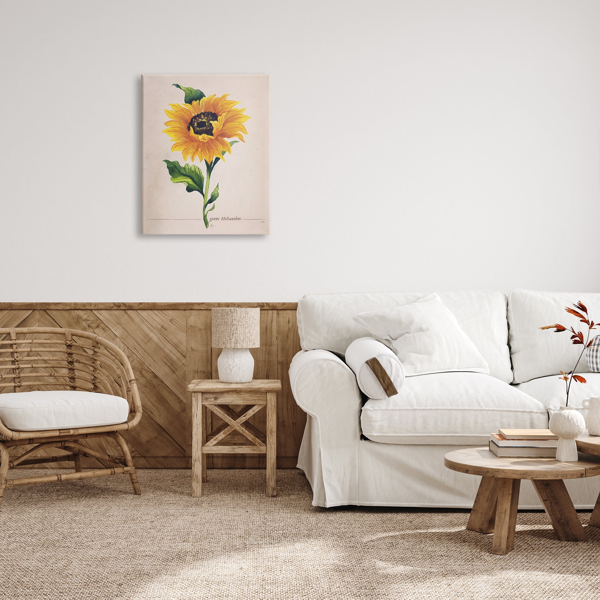 Stupell Industries Single Sunflower Blossom Genus Name Study Page Graphic Art Gallery Wrapped Canvas Print Wall Art, Design by Elizabeth Medley