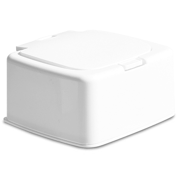 Caja para Almacenamiento con Tapa abatible Adepaton CPB-DE-WX495-1