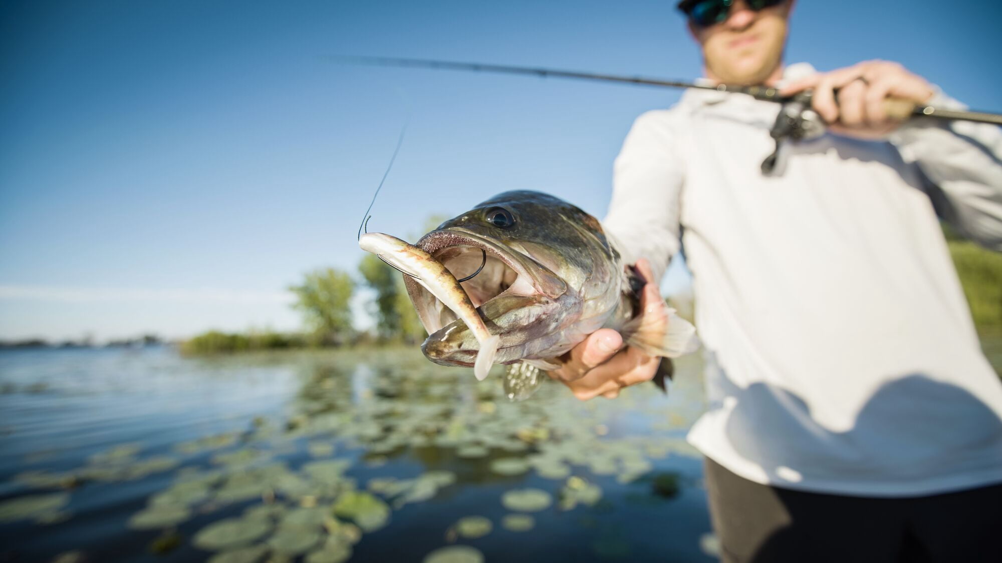Berkley PowerBait® Grass Pig, 5 in, Fishing Swimbaits - Paddle Tail, Natural Shad