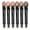 BROWN CANYON, variant on Neutral Eyeshadow Stick Makeup 6PCS Set, Brown Nude Metallic Shimmer Matte Cream Eye Shadow Eyeliner Brightener Pencil Crayon - BROWN CANYON