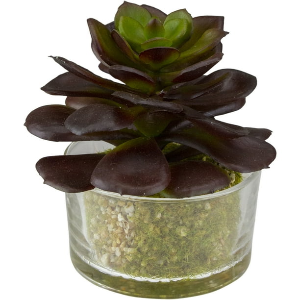 4.5" Artificial Echeveria Succulent Plant in Clear Round Glass Vase