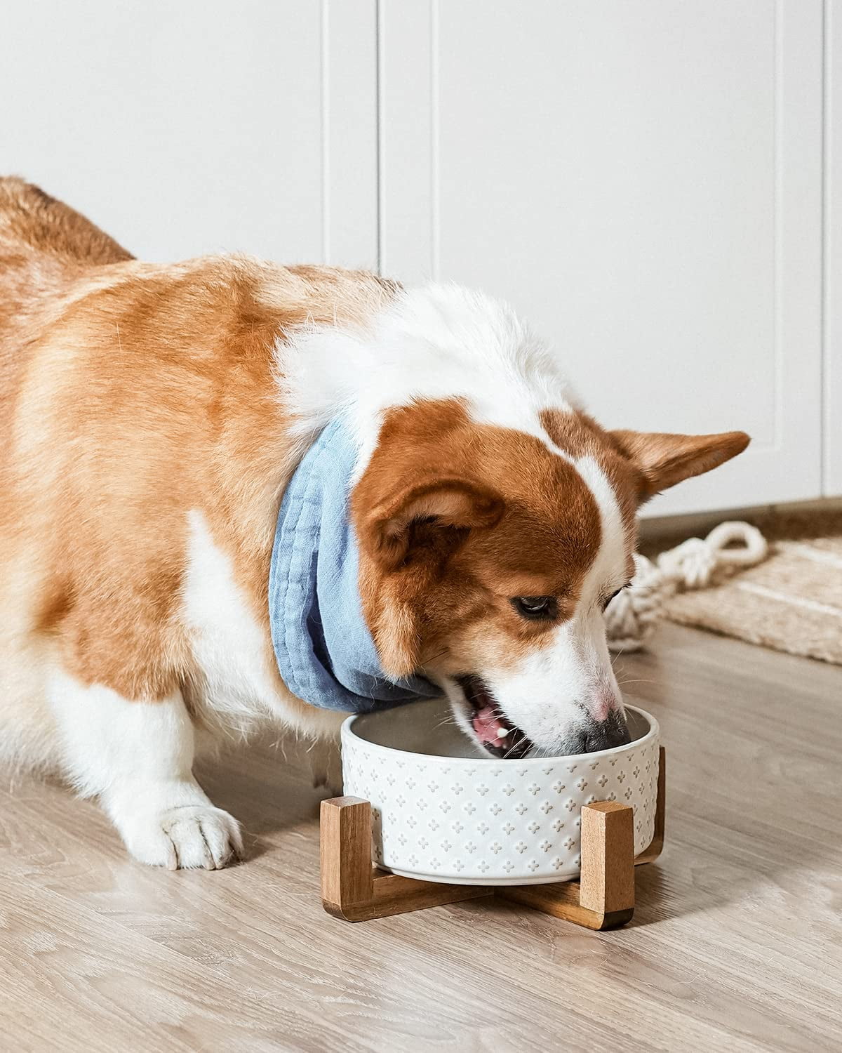 Dog Bowl Set with Acacia Wood Stand - 1.5-Cup Ceramic Puppy Bowls for Small Dogs, Dual Food and Water Bowls with Weighted Non-Slip Base