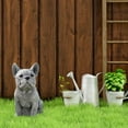 thumbnail image 4 of Decoración hogareña Estatua de perro Gwong Estatua Decorativa Resistente al desgaste Gris Sentado Puppy Resin Statue Decoración del jardín Gwong 21066801, 4 of 6