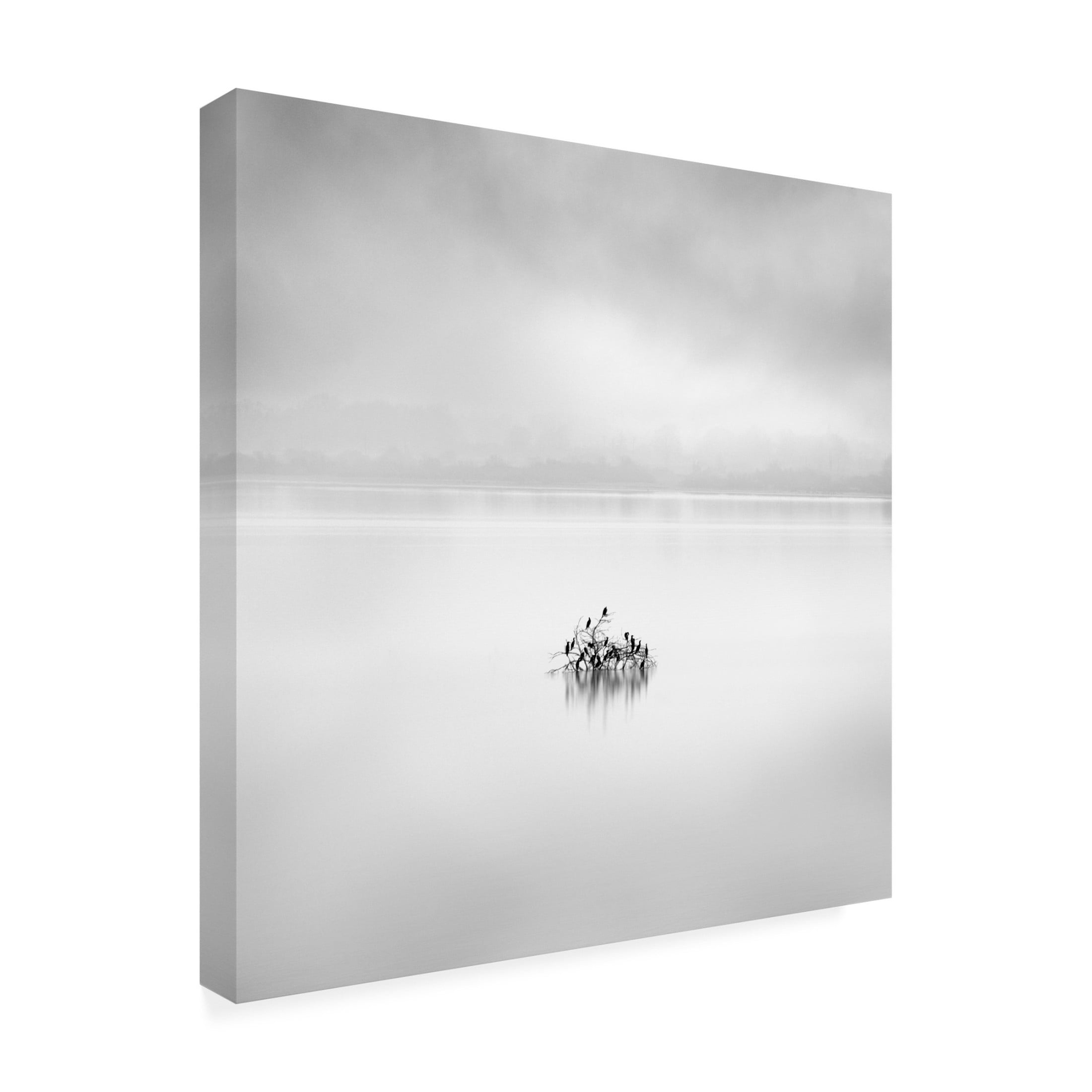 Canvas Wall Art - George Digalakis 'Koroneia Lake 005' Wall Art for Living Room, Bedroom, or Office D?cor by Trademark Fine Art - 35 x 35 Inches