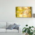 thumbnail image 3 of Trademark Fine Art 'Forest Run I' Canvas Art by James McLoughlin, 3 of 4
