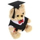 thumbnail image 4 of Graduación Bear Plush Animal de peluche Bear con Tasel Tasel Set Graduate Lindo Bear Graduación Muñecas de oso de peluche Juguete de palo de felpa para suministros de fiesta Negro, 4 of 5