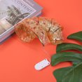 thumbnail image 6 of Niusricy Christmas Fairy LED Light String, DIY Ribbon Light Home Ornament for Indoor Outdoor, 6 of 9
