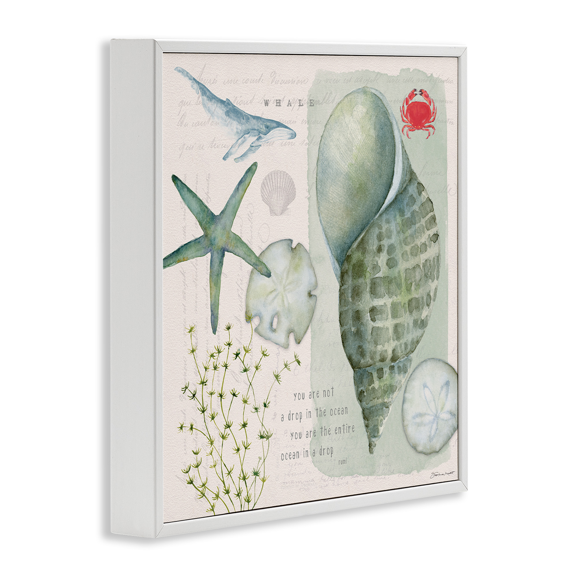 Stupell Industries Sea Shell Inspirational Collage Inspirational Painting White Framed Art Print Wall Art, 12 x 12