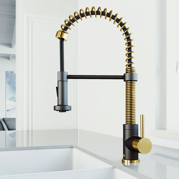 Matte Black And Gold Faucet