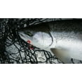 thumbnail image 4 of Pro-Cure Addicted Fishing Steelhead Blend Oil, 4 of 7