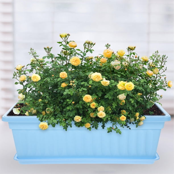 unbranded 4Jgo Maceteros Con Variados Para Suculentas Y Plantas En